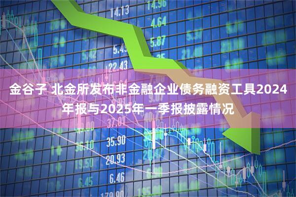 金谷子 北金所发布非金融企业债务融资工具2024年报与2025年一季报披露情况