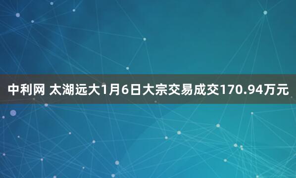 中利网 太湖远大1月6日大宗交易成交170.94万元
