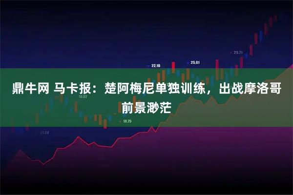鼎牛网 马卡报：楚阿梅尼单独训练，出战摩洛哥前景渺茫